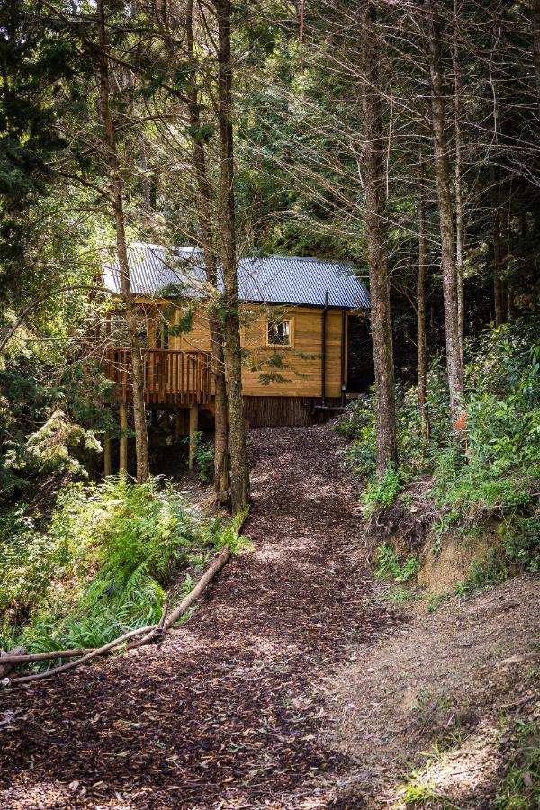 Maitai Whare Iti - Adventure Cabins & House Nelson Ngoại thất bức ảnh